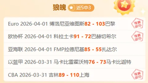 NBA专家深析大乐透期号：鹈鹕对猛龙策略推荐